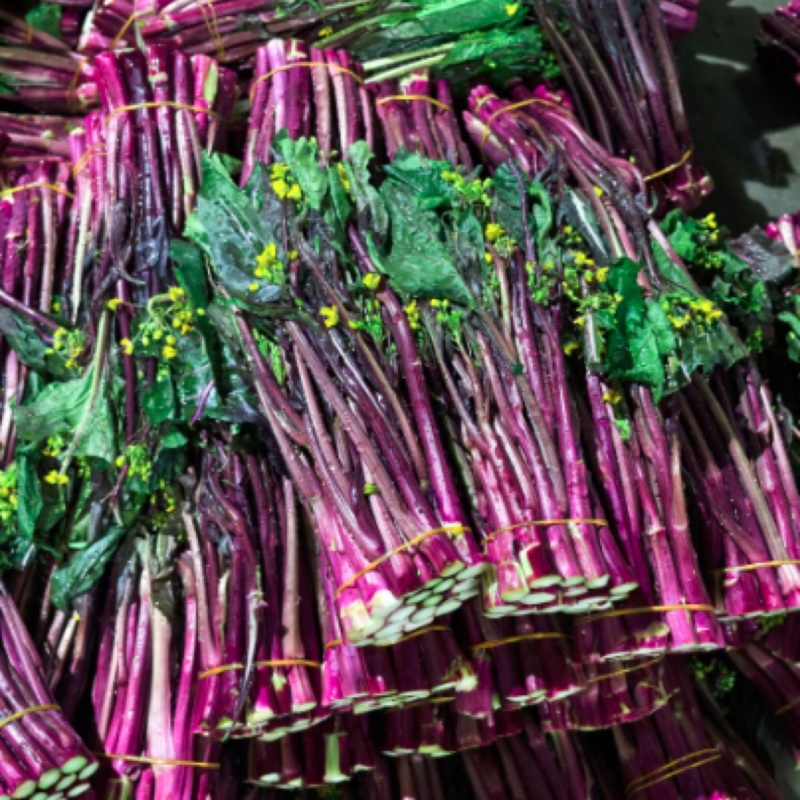贵州高山菜苔红菜苔品质保证货源充足产地发货欢迎电联