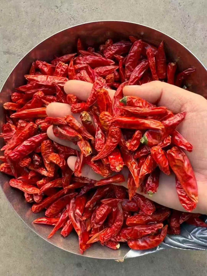 正宗云南小米辣（下单前先联系卖家）