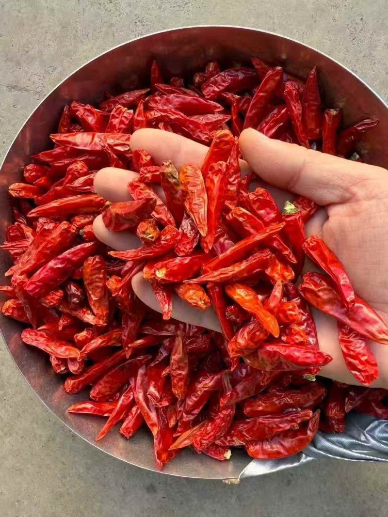 正宗云南小米辣（下单前先联系卖家）