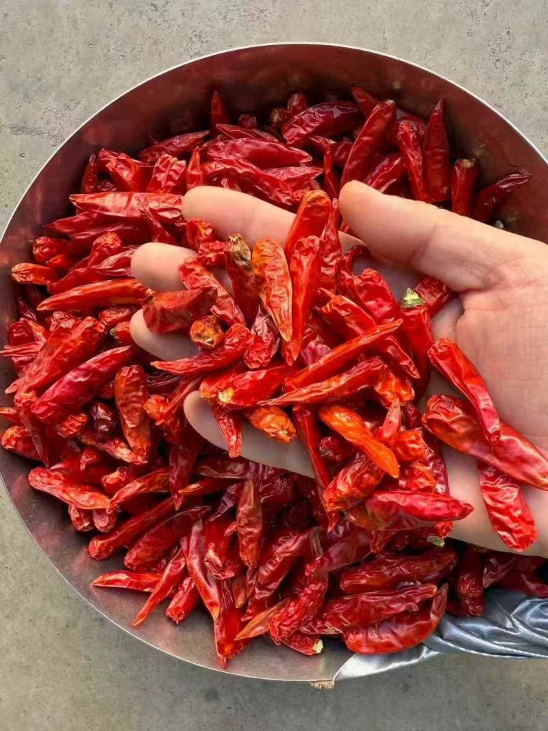 正宗云南小米辣（下单前先联系卖家）