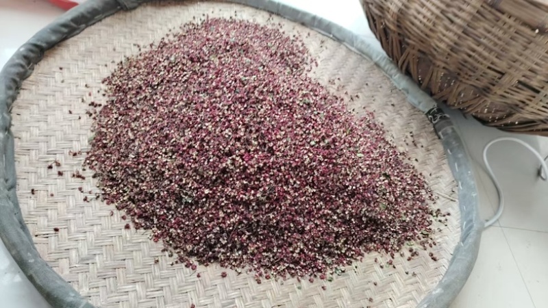甘肃【伏椒】大红袍花椒开口好麻度高颗粒饱满色泽鲜艳