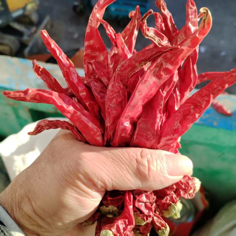 二荆条辣椒干辣椒精品发货规格齐全价格不一进店咨询