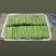 蔬菜小金豆四季豆豆角货源充足量大从优基地直供