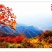 林权流转（森林、梯田、民居、景观）