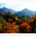 林权流转（森林、梯田、民居、景观）