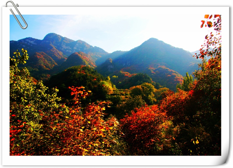 林权流转（森林、梯田、民居、景观）