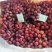 新疆克隆生