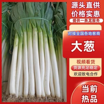 长白大葱高大紧实甜辣适中耐储运基地直发
