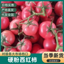 硬粉西红柿自然熟，沙瓤甜润，量大价优产地直发