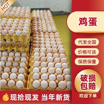 鲜鸡蛋土鸡蛋富营养整箱批发日产日发耐运输