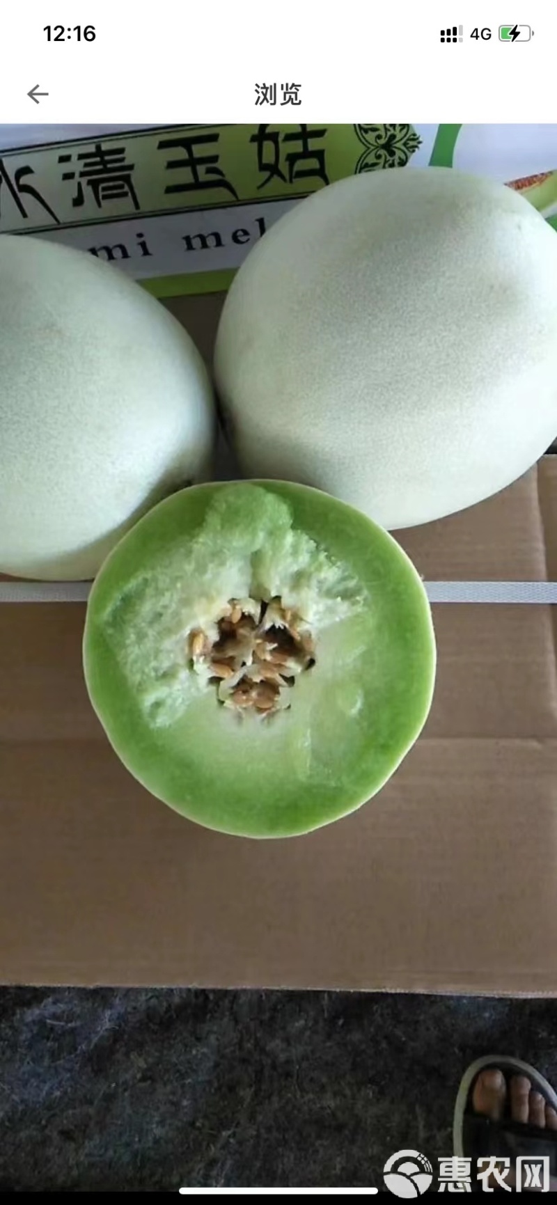 羊角蜜甜瓜博洋九白玉菇果肉厚实量大价优基地直供耐储运