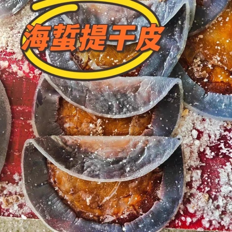 提干海蜇皮（加工厂）渔船货池子货全有