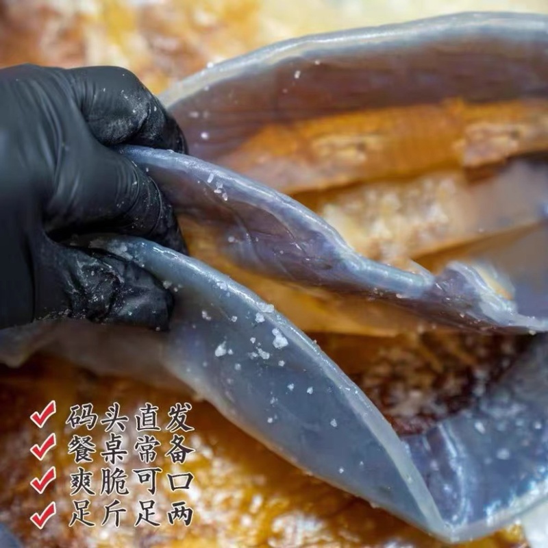 提干海蜇皮（加工厂）渔船货池子货全有