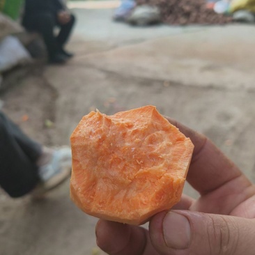 西瓜红