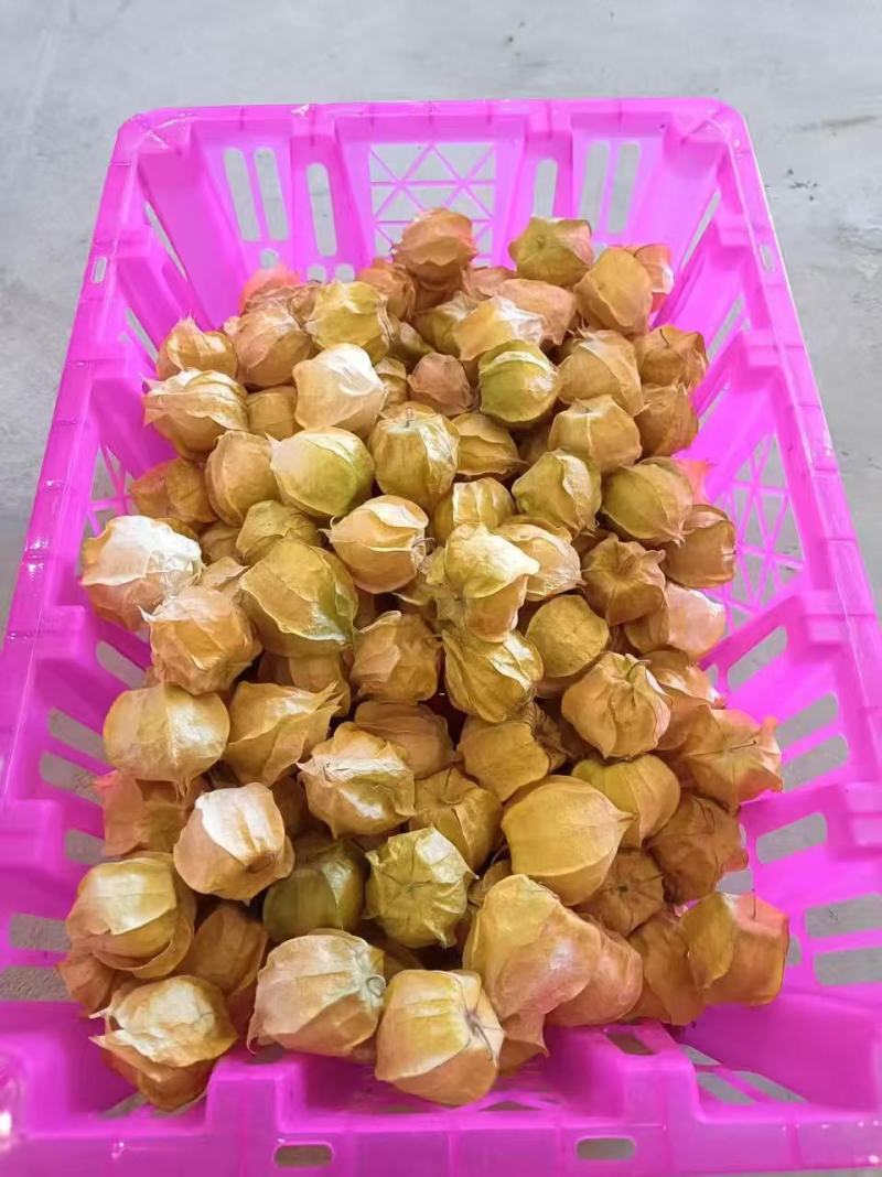 正宗云南西双版纳姑娘，产地直发，一件代发