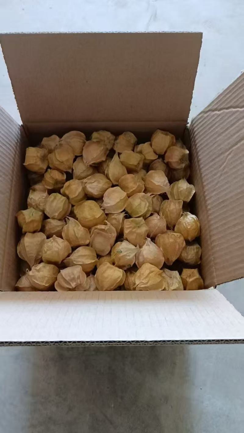 正宗云南西双版纳姑娘，产地直发，一件代发