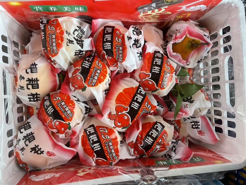四川春见耙耙柑一件代发春见耙耙柑电商供应批发代发