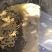 广西野生蜂蜜