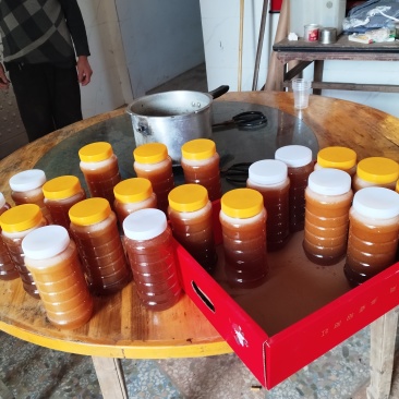 正宗土蜂蜜