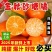 正宗砂糖橘/电商一件代发24小时揽收发货