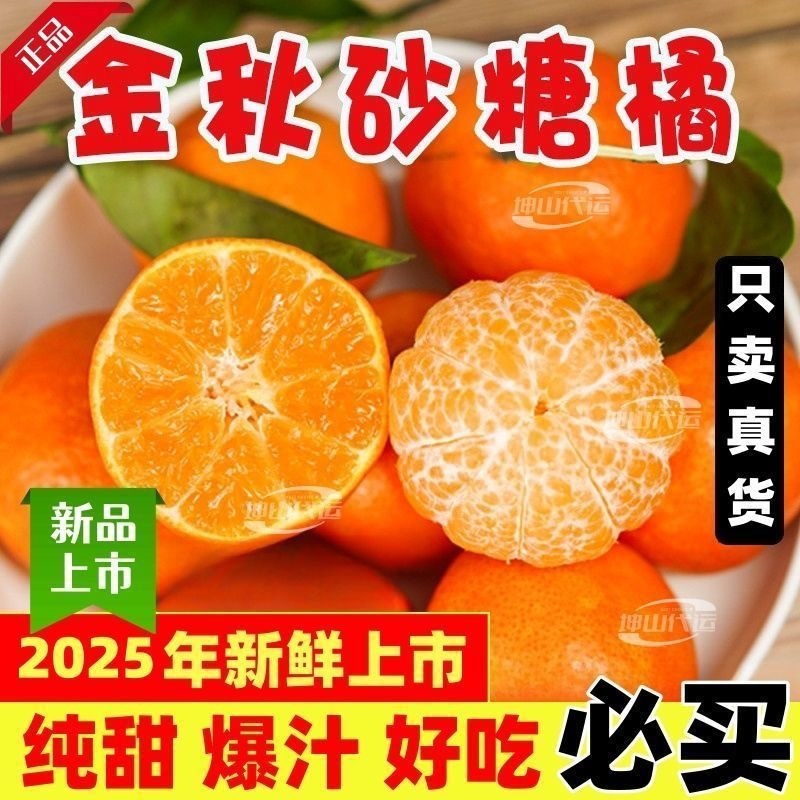 正宗砂糖橘/电商一件代发24小时揽收发货