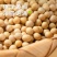 25年新黄豆10斤装黑龙江高蛋白豆腐大豆专用豆浆豆芽农家