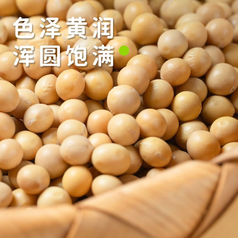 25年新黄豆10斤装黑龙江高蛋白豆腐大豆专用豆浆豆芽农家