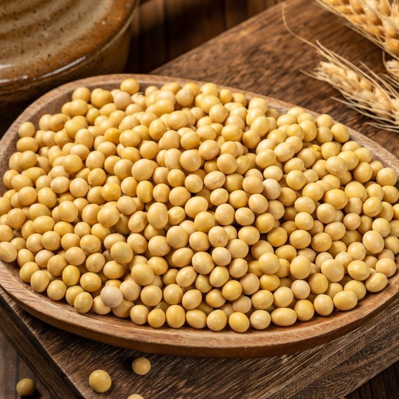 25年新黄豆10斤装黑龙江高蛋白豆腐大豆专用豆浆豆芽农家