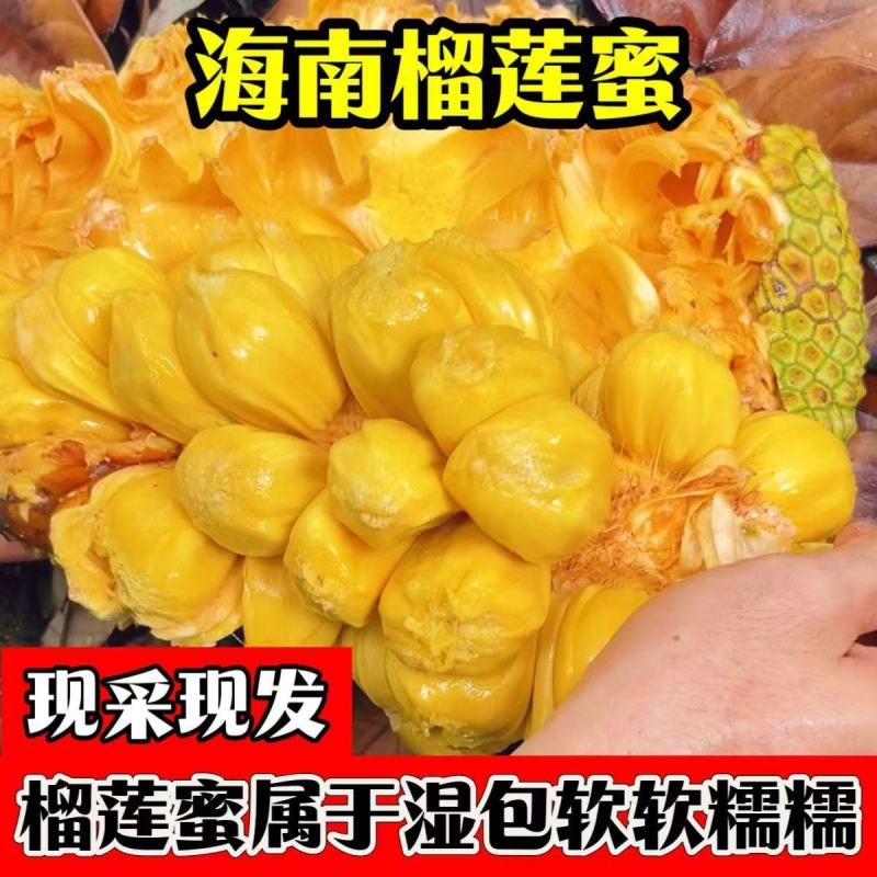 榴莲蜜代发批发零售对接各大电商平台顺丰快递发货