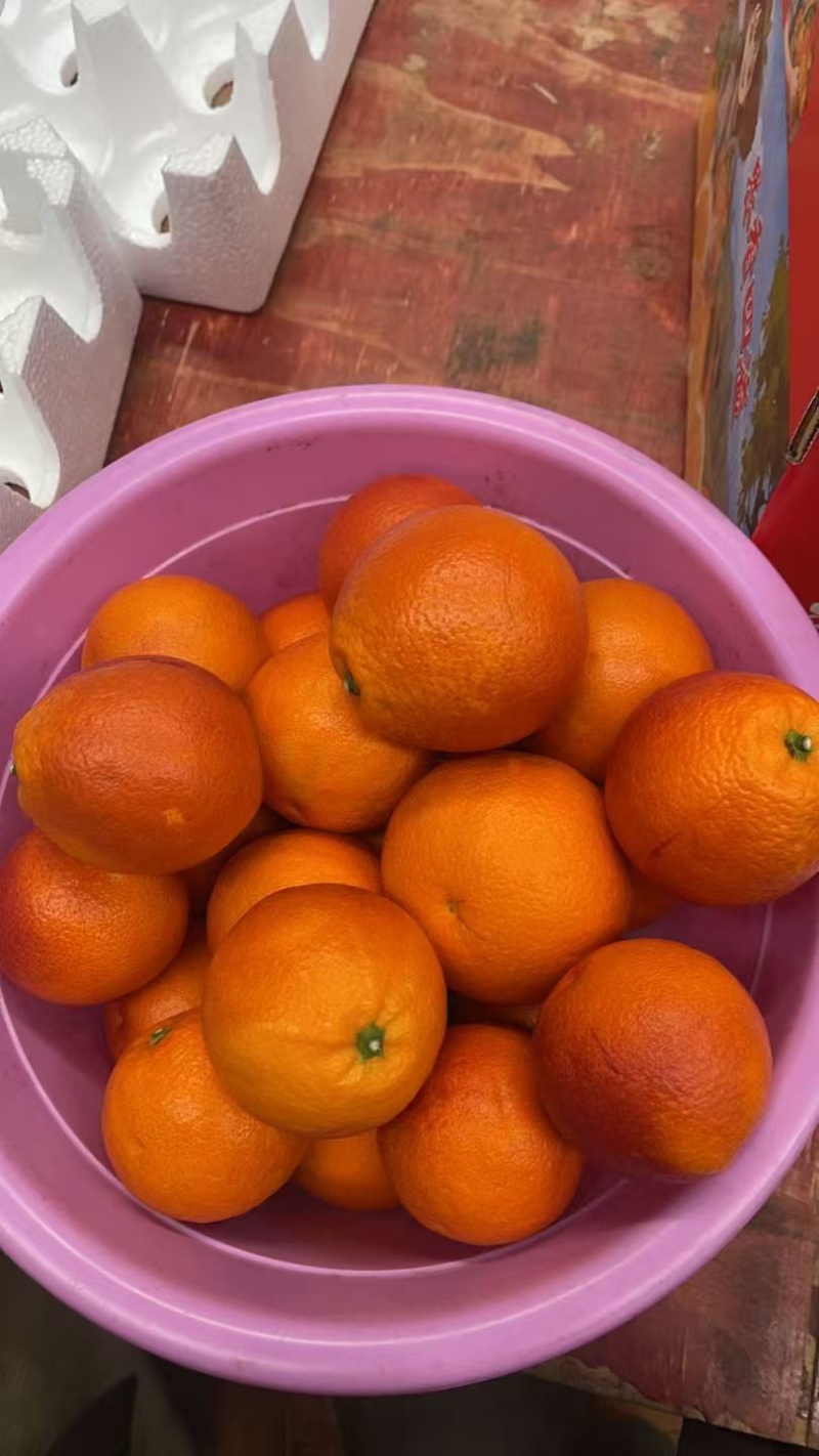 资阳血橙塔罗科血橙一件代发市场批发