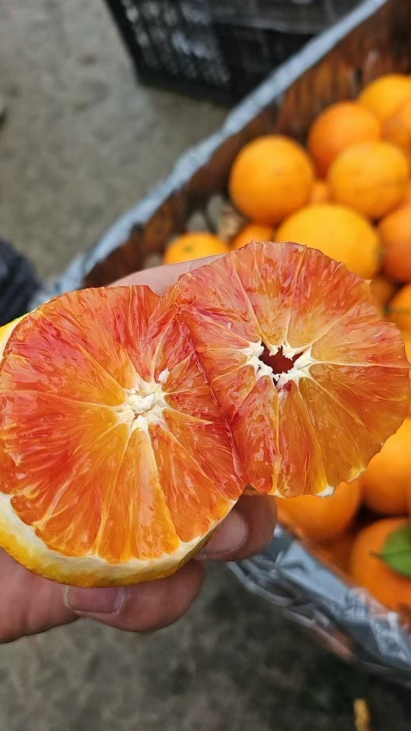 资阳血橙塔罗科血橙一件代发市场批发