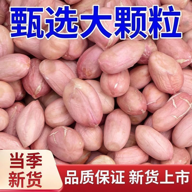 10斤批发价2025花生米新货花生粉皮新鲜大粒粉红皮榨