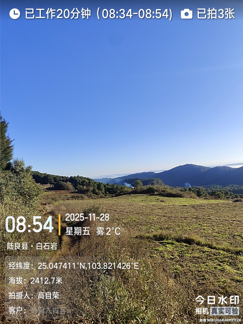 云南陆良高原臭参优质中药材种植基地直发可视频看货