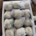 精品菜花松花菜白面菜花规格齐全价格合理发市场发商超