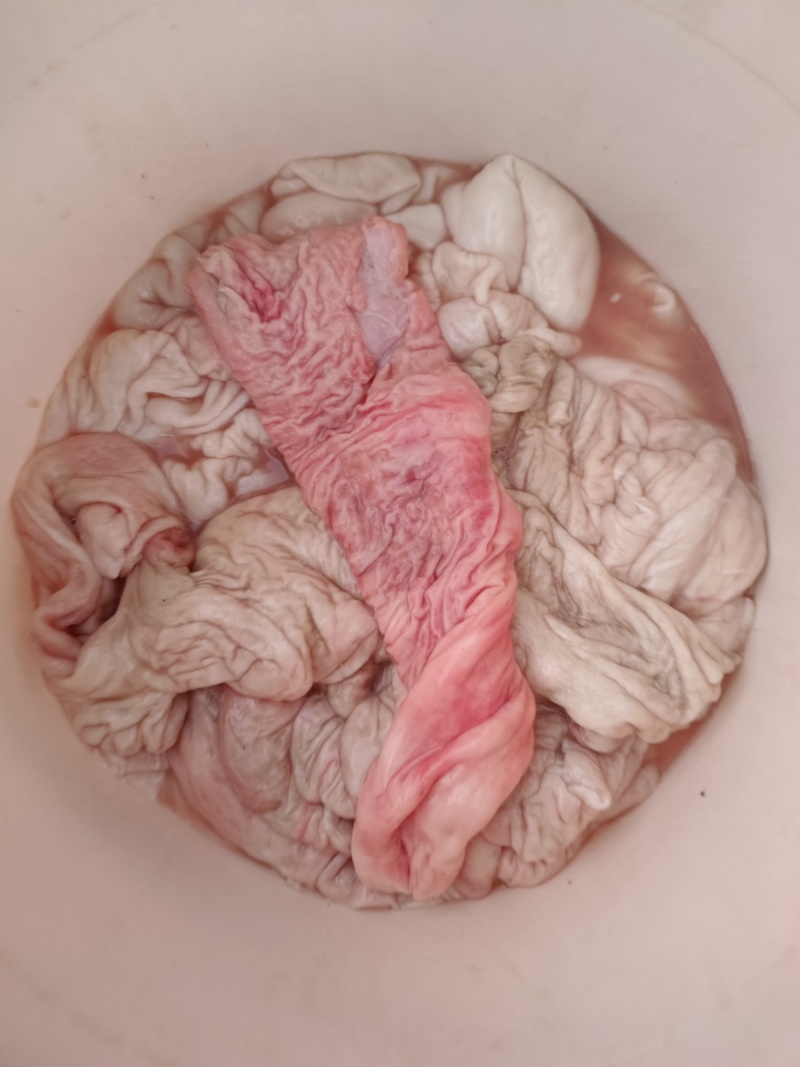 新鲜猪大肠去油干净无腥量大从优欢迎选购