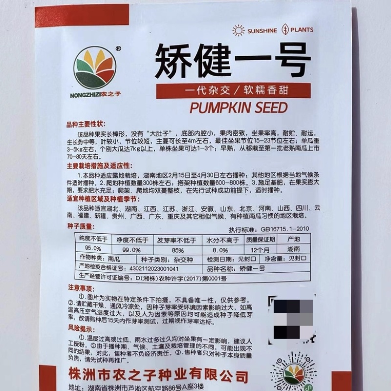矫健一号南瓜种子早熟长南瓜甜面大田基地品种