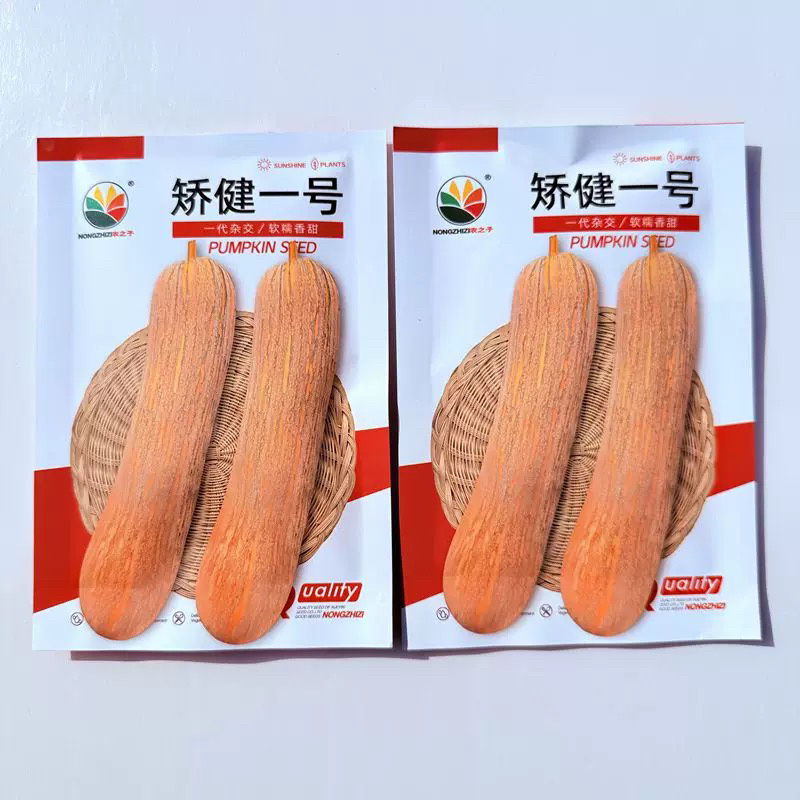 矫健一号南瓜种子早熟长南瓜甜面大田基地品种