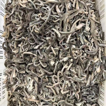 八分熟，白水羊肚，也可做五香羊肚。这款为白水煮，