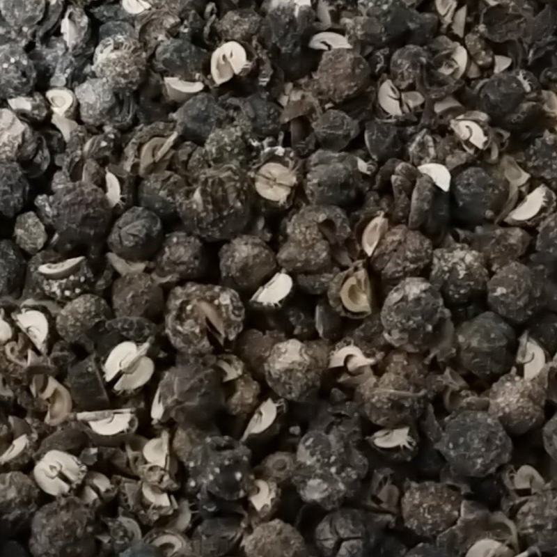 余甘子滇橄榄烤干的无硫