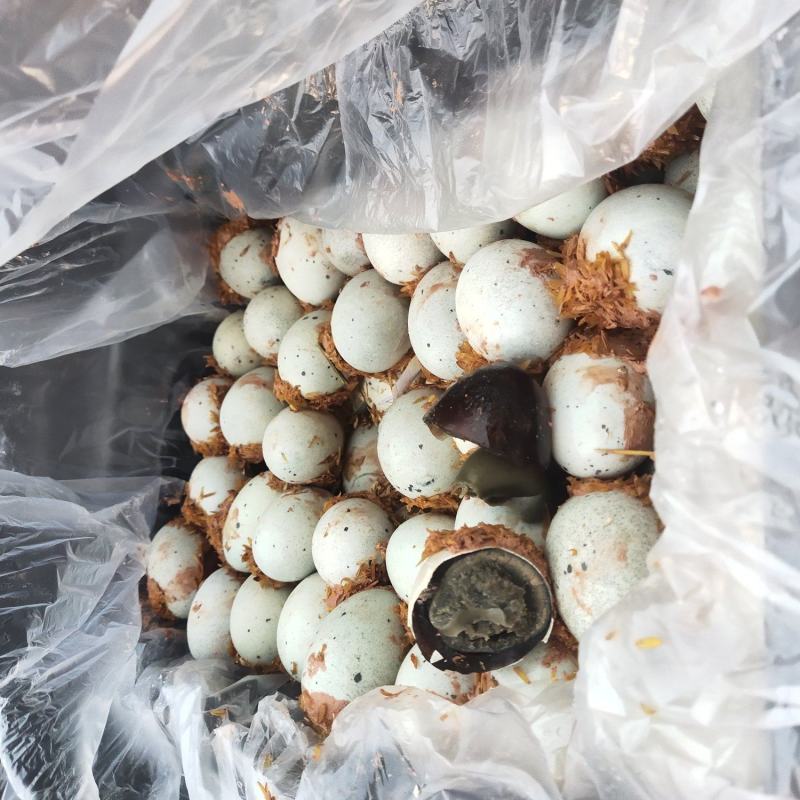 赶大集摆地摊畅销品稻糠松花蛋