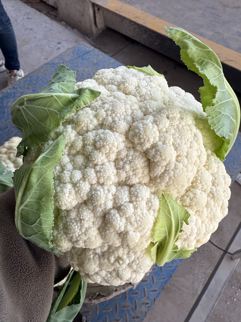 《火爆》湖北产地有机花菜。松花大量上市，产地一手货源，