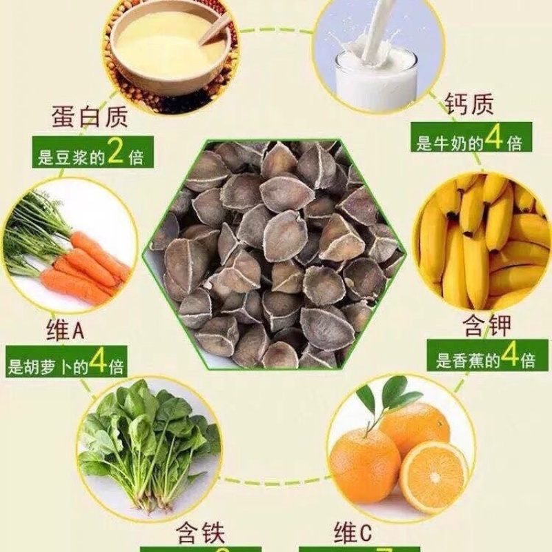 辣木籽中药材籽药大全批发零售货真价实假一赔十