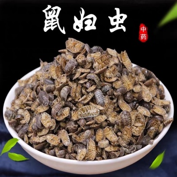鼠妇虫西瓜虫中药材虫类药材大全批发零售货真价实