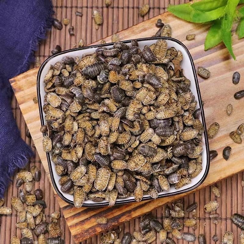 鼠妇虫西瓜虫中药材虫类药材大全批发零售货真价实