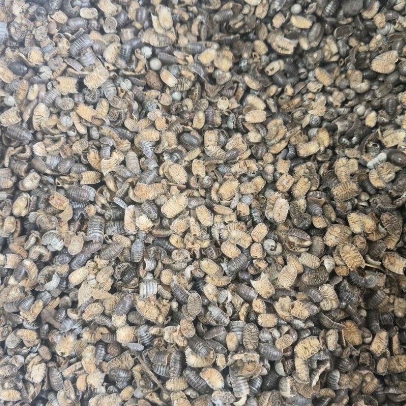 鼠妇虫西瓜虫中药材虫类药材大全批发零售货真价实