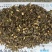 正品钝果桑寄生货源稳定欢迎各个药企洽谈合作大货供应