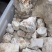 龙骨