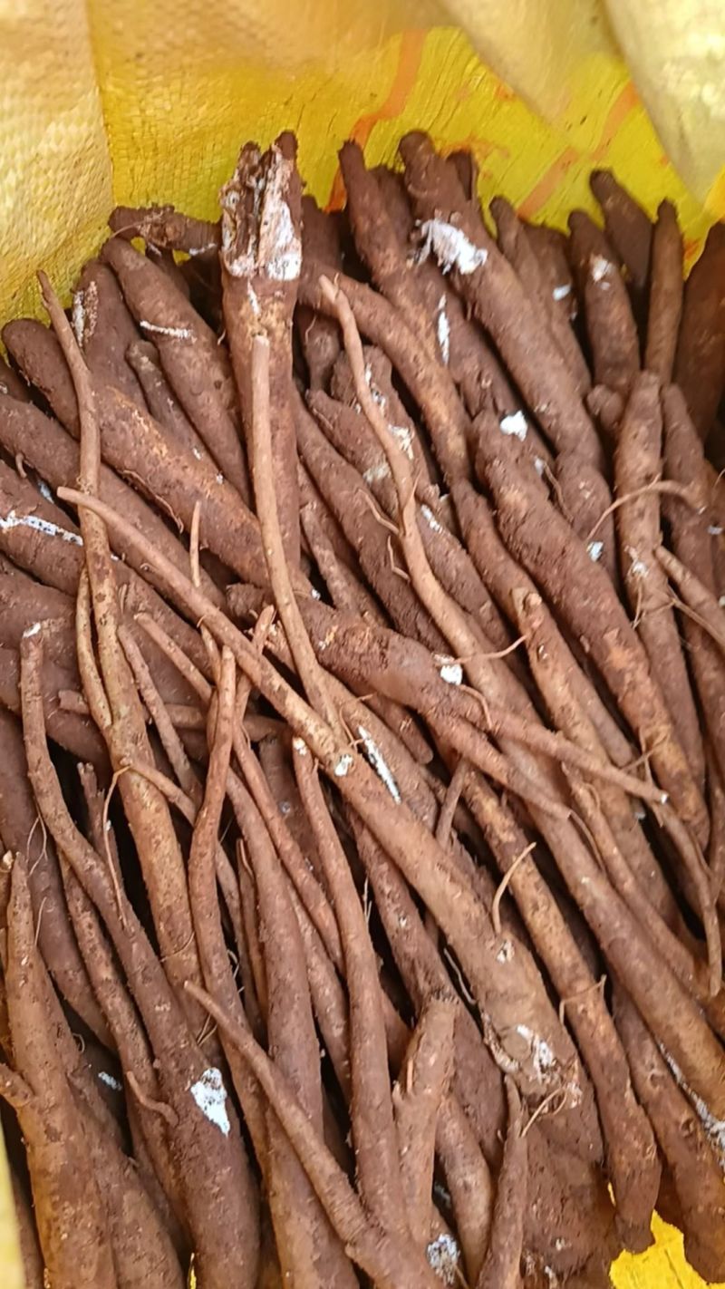 云南甜当归东归鲜货