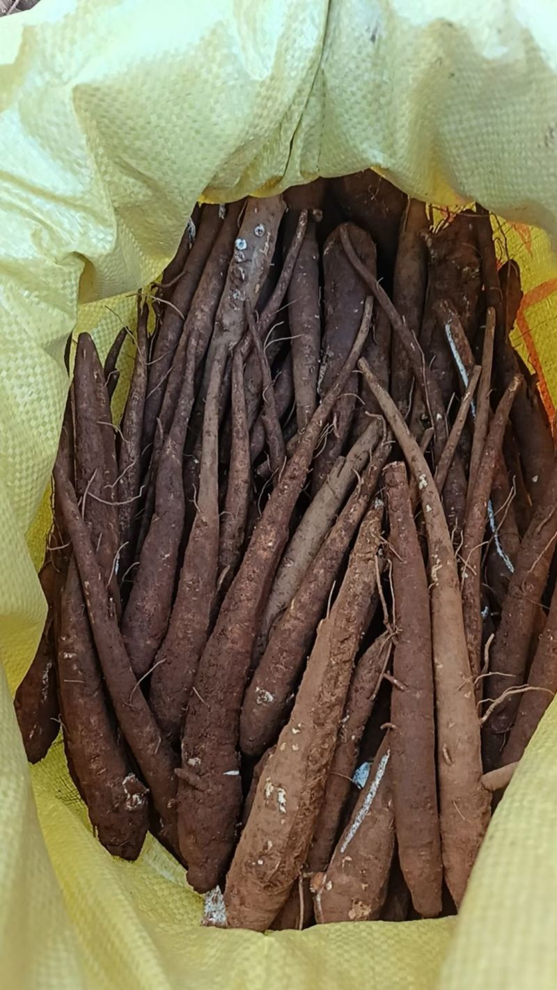 云南甜当归东归鲜货