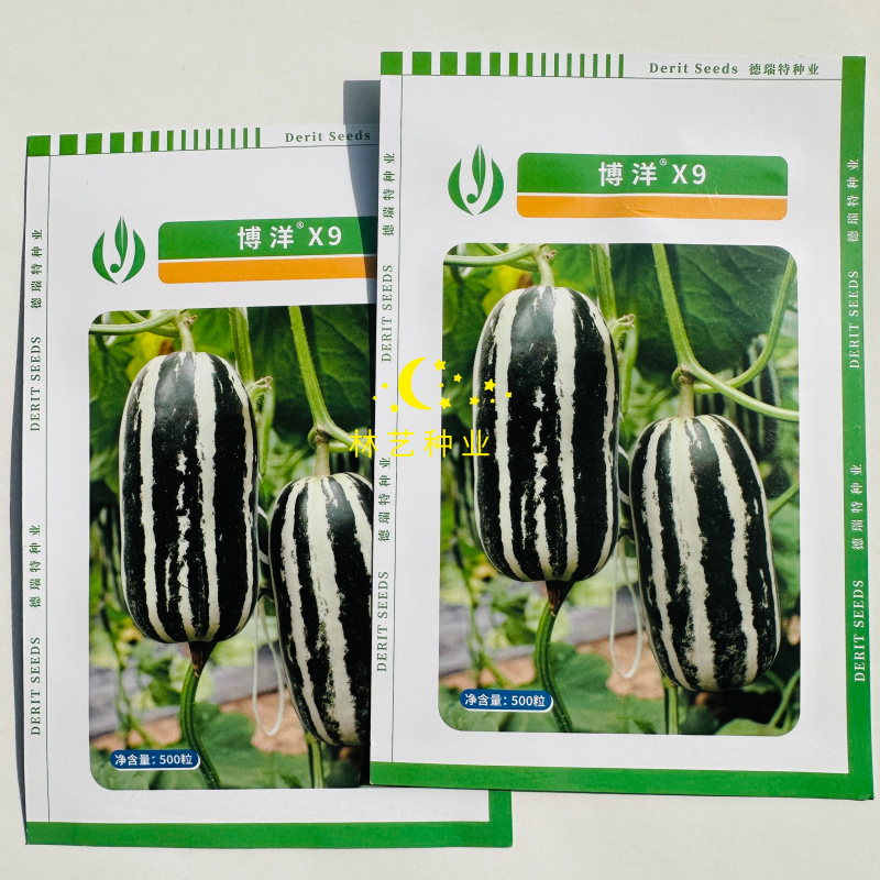 德瑞特博洋X9甜瓜种子早熟高产抗病耐热耐寒花皮绿肉香瓜籽